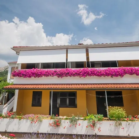 Apartment Surfinia